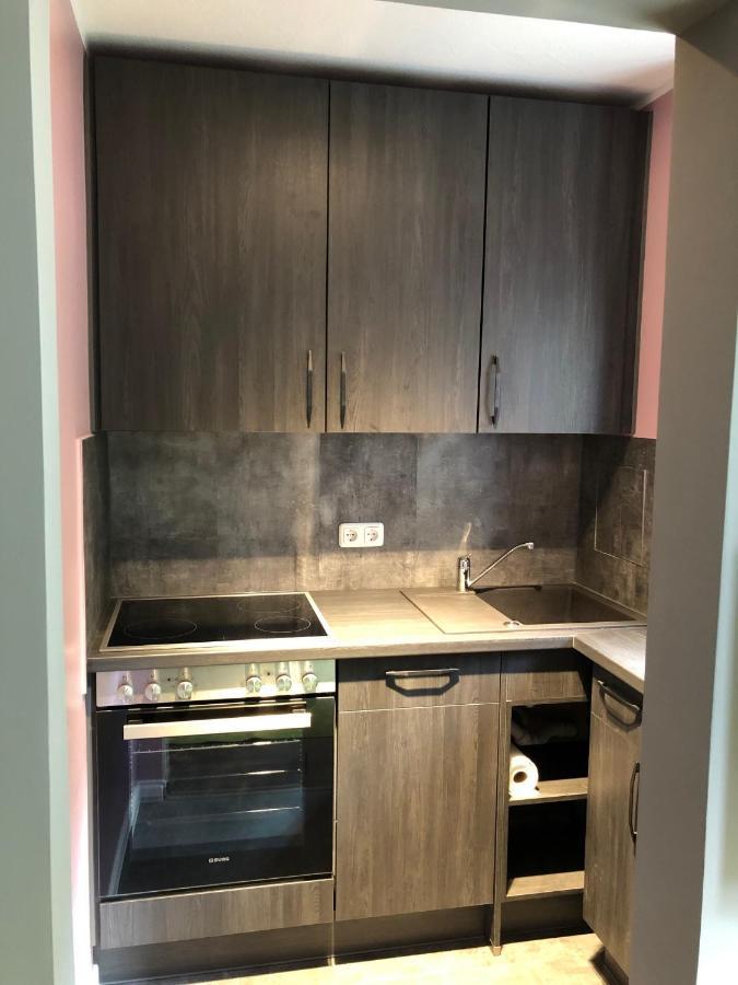 Studio Apartment In Dresden-Neustadt Exteriér fotografie